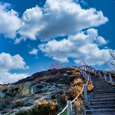 Woche quedlinburg urlaub gebraucht kaufen  Hamburg