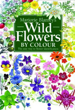 Wild flowers colour for sale  ROSSENDALE