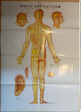 Akupunktur poster papier gebraucht kaufen  Kiel