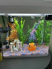 Litre fish keeper for sale  READING