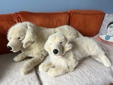 Classic golden retriever for sale  UK