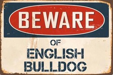 Beware english bulldog for sale  DUNSTABLE