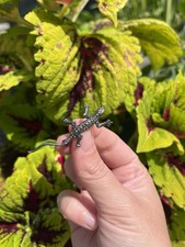 Sterling silver marcasite for sale  WEYMOUTH