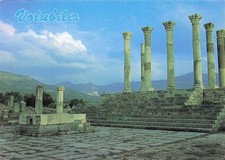 Maroc volubilis capitole d'occasion  France