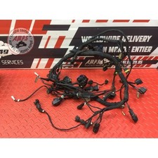 Faisceau électrique principal d'occasion Faisceau électrique principal d'occasion  France