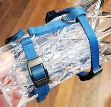 Blaues hundegeschirr kleine gebraucht kaufen  Dorsten