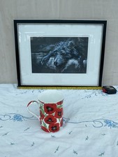 Claire kitcher signed for sale  NORWICH