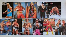 Wwf wrestling postkarten gebraucht kaufen  Baunach