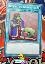 Riccastro goblin srl usato  Santa Sofia