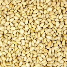 Pine nuts kernels for sale  SHEFFIELD