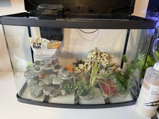 64l love fish for sale  NORTHAMPTON