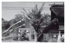 Japon okutama yoshino d'occasion Japon okutama yoshino d'occasion  Pagny-sur-Moselle