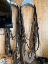 Pferdegeschirr schetty kaltblu gebraucht kaufen Pferdegeschirr schetty kaltblu gebraucht kaufen  Arendsee