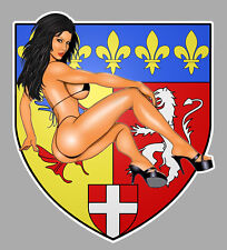 Coat arms rhone d'occasion  Expédié en Belgium