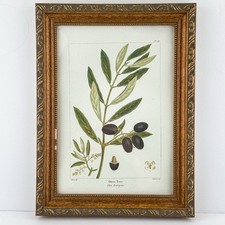 Vintage ornate framed for sale  Union