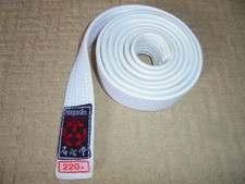 Hayashi international karate gebraucht kaufen  Berlin