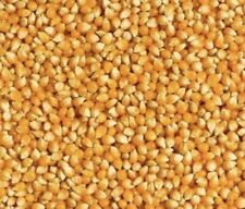 Nigerian yellow clean for sale  BIRMINGHAM