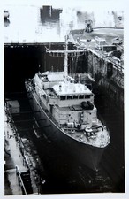 Négatif photo chasseur d'occasion  Le Havre-