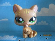 Petshop cat chartreux d'occasion  Expédié en Belgium