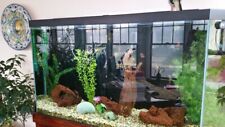 Large custom 180 for sale  Rockaway Park