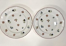 Petite fleur salad d'occasion  Expédié en Belgium