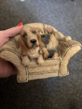 Bassett hound puppies for sale  UK