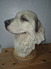 pyrenean mountain dog for sale pyrenean mountain dog for sale STOKE-ON-TRENT