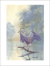 2000 vintage print for sale  Carmel Valley