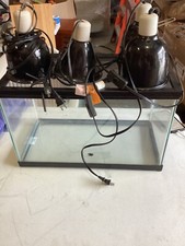 Tropical reptile starter for sale  Bethel