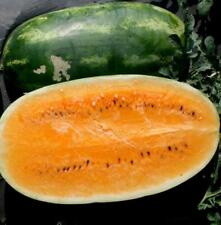 Tendersweet orange watermelon for sale  Deltona