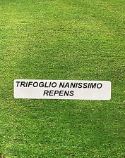 Trifoglio repens nanissimo usato  Roncofreddo