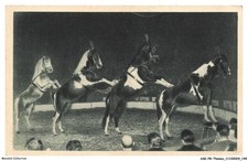 Askp8 0477 cirque d'occasion Askp8 0477 cirque d'occasion  France