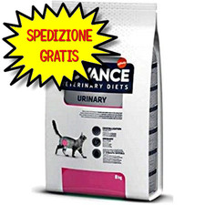 Advance dieta gatto usato  San Felice Circeo