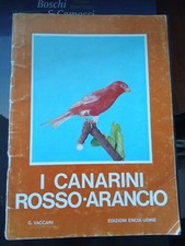 Vaccari canarini rosso usato  Pordenone