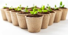 Inch starter pots for sale  Russell