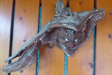 Wurzelschnitzerei wurzelgesich gebraucht kaufen  Braunschweig