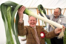 Bulgarian giant leek for sale Bulgarian giant leek for sale  FERRYHILL