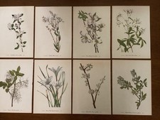 artwork floral for sale  Camden Wyoming