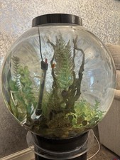 Biorb 105 mcr for sale  SHEFFIELD
