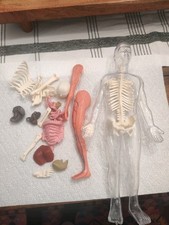Toys squishy human for sale  Bremen