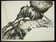 Horst egon kalinowski d'occasion  Toulouse-