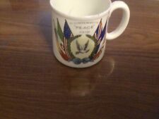 Peace mug 1919 for sale  TADLEY