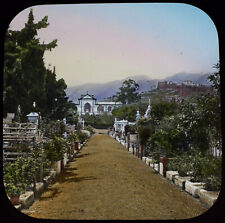 FUNCHAL DO CEMITÉRIO PORTUGUÊS DA MADEIRA C1891 ANTIGO Lanterna Mágica Slide FOTO, usado comprar usado  Enviando para Brazil