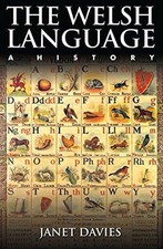 Welsh language history for sale  ROSSENDALE