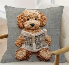 Super soft labradoodle for sale  HALESOWEN