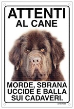 Terranova attenti cane usato Terranova attenti cane usato  Vertemate con Minoprio