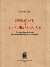 Fondamenti economia aziendale usato  Italia