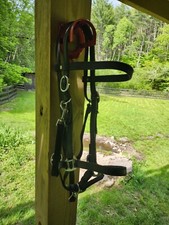 Bridle halter combination for sale  Hoosick Falls