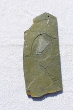 Fantastic slate guinness for sale  HAVANT