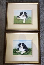 Pair border collie for sale  HIGH WYCOMBE